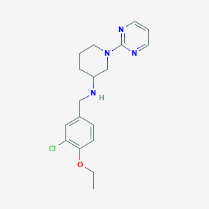 molecular formula C18H23ClN4O B6047933 N-[(3-chloro-4-ethoxyphenyl)methyl]-1-pyrimidin-2-ylpiperidin-3-amine 