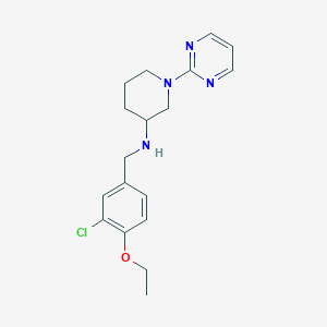 N-(3-chloro-4-ethoxybenzyl)-1-(2-pyrimidinyl)-3-piperidinamine