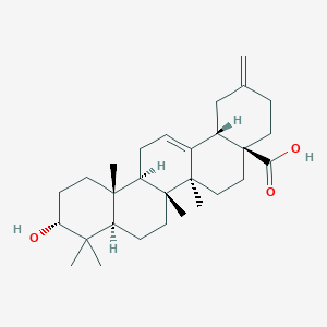 molecular formula C29H44O3 B604982 3α-赤酮酸 CAS No. 104777-61-9