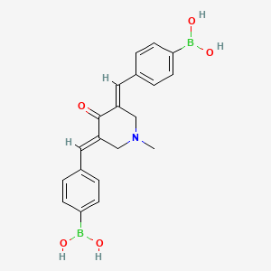 molecular formula C20H21B2NO5 B605364 3,5-Bis-[benzylidene-4-boronic acid]-1-methylpiperidin-4-one CAS No. 856849-35-9