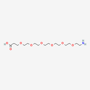 molecular formula C15H31NO8 B605466 1-Amino-3,6,9,12,15,18-hexaoxahenicosan-21-oic acid CAS No. 905954-28-1