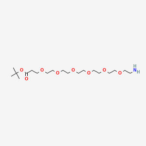 molecular formula C19H39NO8 B605467 Amino-PEG6-t-butyl ester CAS No. 1286281-32-0