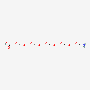 molecular formula C21H43NO11 B605474 氨基-PEG9-酸 CAS No. 1191079-83-0