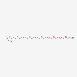 molecular formula C25H51NO11 B605476 Amino-PEG9-t-butyl ester CAS No. 1818294-44-8