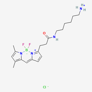 molecular formula C20H30BClF2N4O B605989 BDP FL amine CAS No. 2183473-03-0
