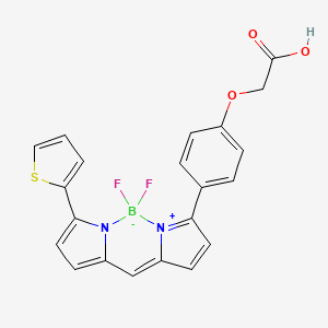 BDP TR carboxylic acid