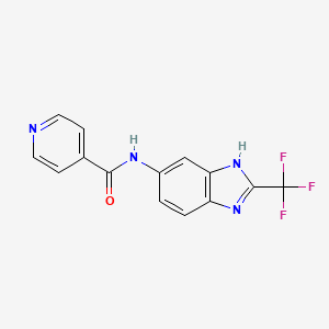 molecular formula C14H9F3N4O B6060508 N-[2-(trifluoromethyl)-1H-benzimidazol-5-yl]pyridine-4-carboxamide 