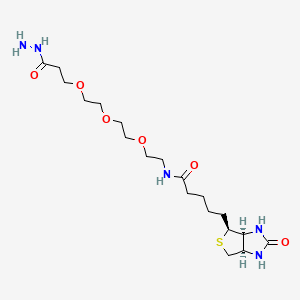 molecular formula C19H35N5O6S B606133 Biotin-PEG3-hydrazide 