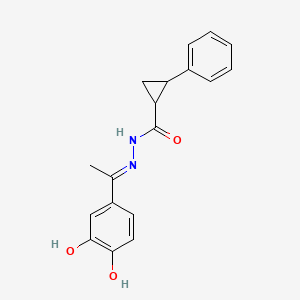 molecular formula C18H18N2O3 B6062292 N'-[(1E)-1-(3,4-dihydroxyphenyl)ethylidene]-2-phenylcyclopropanecarbohydrazide 