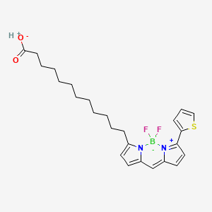 molecular formula C25H31BF2N2O2S B606313 Bodipy 558/568 C12 CAS No. 158757-84-7