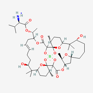 molecular formula C45H74BNO15 B606316 硼霉素 CAS No. 34524-20-4
