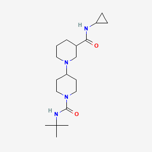 molecular formula C19H34N4O2 B6063698 N~1~'-(tert-butyl)-N~3~-cyclopropyl-1,4'-bipiperidine-1',3-dicarboxamide 