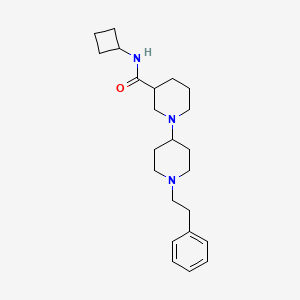 molecular formula C23H35N3O B6063905 N-cyclobutyl-1-[1-(2-phenylethyl)piperidin-4-yl]piperidine-3-carboxamide 