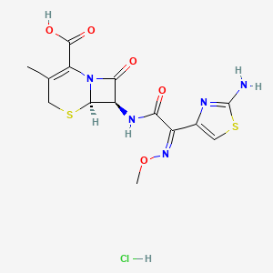 molecular formula C14H16ClN5O5S2 B606584 Cefetamet (hydrochloride) CAS No. 724438-16-8