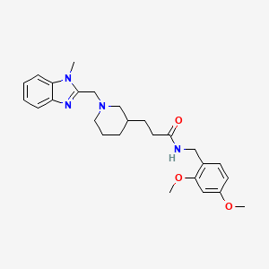 molecular formula C26H34N4O3 B6066528 N-(2,4-dimethoxybenzyl)-3-{1-[(1-methyl-1H-benzimidazol-2-yl)methyl]-3-piperidinyl}propanamide 