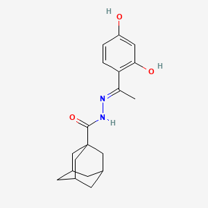 molecular formula C19H24N2O3 B6067270 N-[(E)-1-(2,4-dihydroxyphenyl)ethylideneamino]adamantane-1-carboxamide 