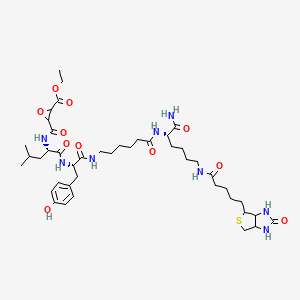 molecular formula C43H66N8O11S B606991 DCG04 CAS No. 314263-42-8