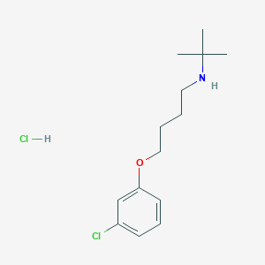 molecular formula C14H23Cl2NO B6070286 N-tert-butyl-4-(3-chlorophenoxy)butan-1-amine;hydrochloride 