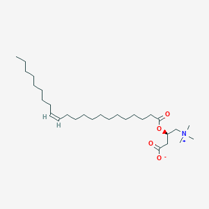 molecular formula C29H55NO4 B607368 芥酸左旋肉碱 CAS No. 51267-35-7