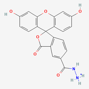 molecular formula C21H15N2O6+ B607413 FAM hydrazide, 5-isomer CAS No. 2183440-64-2