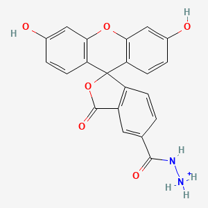 molecular formula C21H15N2O6+ B607413 [(3',6'-Dihydroxy-3-oxospiro[2-benzofuran-1,9'-xanthene]-5-carbonyl)amino]azanium CAS No. 2183440-64-2