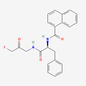 molecular formula C23H21FN2O3 B607489 FMK 9a CAS No. 1955550-51-2