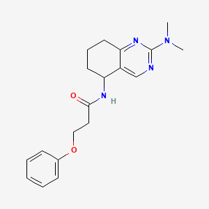 molecular formula C19H24N4O2 B6075824 N-[2-(dimethylamino)-5,6,7,8-tetrahydroquinazolin-5-yl]-3-phenoxypropanamide 