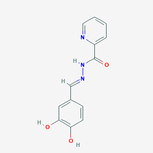 molecular formula C13H11N3O3 B6078853 N'-[(E)-(3,4-dihydroxyphenyl)methylidene]pyridine-2-carbohydrazide 