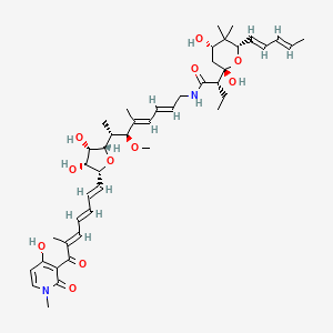 molecular formula C44H62N2O11 B607936 Heneicomycin CAS No. 66170-37-4