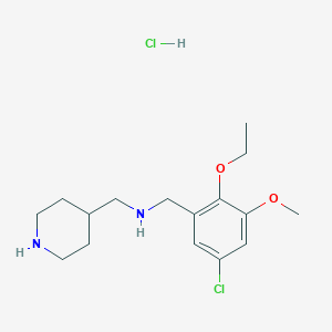 molecular formula C16H26Cl2N2O2 B6079704 N-[(5-chloro-2-ethoxy-3-methoxyphenyl)methyl]-1-piperidin-4-ylmethanamine;hydrochloride 