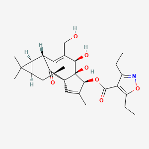 molecular formula C28H37NO7 B608104 Ingenol disoxate CAS No. 1383547-60-1