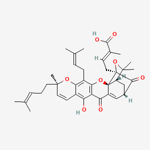 molecular formula C38H44O8 B608132 Isogambogic acid 