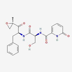 molecular formula C21H23N3O6 B608407 N-[(2S)-3-hydroxy-1-[[(2S)-1-[(2R)-2-methyloxiran-2-yl]-1-oxo-3-phenylpropan-2-yl]amino]-1-oxopropan-2-yl]-6-oxo-1H-pyridine-2-carboxamide CAS No. 1629052-78-3