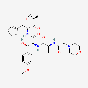 molecular formula C30H42N4O8 B608408 Zetomipzomib CAS No. 1629677-75-3