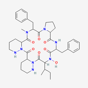 molecular formula C40H54N8O7 B608410 L 156373 CAS No. 122211-29-4