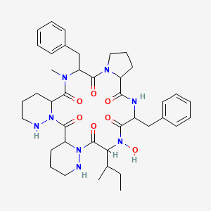 molecular formula C40H54N8O7 B608410 Cyclo(pro-phe-N-OH-ile-piperazinyl-piperazinyl-N-Me-D-phe) CAS No. 122211-29-4