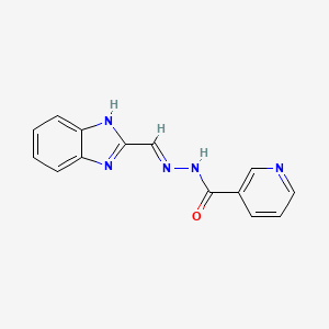 molecular formula C14H11N5O B6084771 N-[(E)-1H-benzimidazol-2-ylmethylideneamino]pyridine-3-carboxamide 