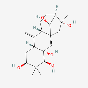 molecular formula C20H32O5 B608530 Leucothol B CAS No. 38302-26-0