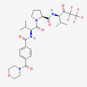 molecular formula C29H37F5N4O6 B608946 (R)-MDL-101146 CAS No. 163660-53-5