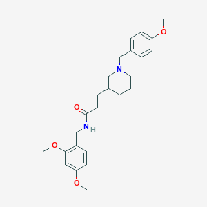 molecular formula C25H34N2O4 B6091306 N-(2,4-dimethoxybenzyl)-3-[1-(4-methoxybenzyl)-3-piperidinyl]propanamide 