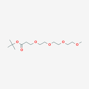 tert-Butyl 3-{2-[2-(2-methoxyethoxy)ethoxy]ethoxy}propionate
