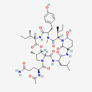 molecular formula C46H70N8O12 B609624 Nostopeptin B CAS No. 185980-89-6