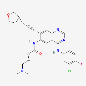 molecular formula C27H25ClFN5O2 B609667 NT113 CAS No. 1398833-56-1