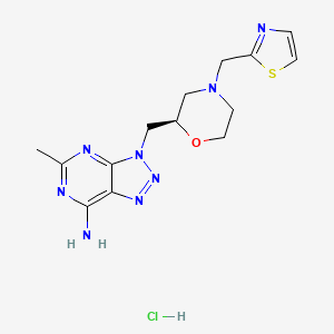 molecular formula C14H19ClN8OS B609933 5-methyl-3-[[(2R)-4-(1,3-thiazol-2-ylmethyl)morpholin-2-yl]methyl]triazolo[4,5-d]pyrimidin-7-amine;hydrochloride 
