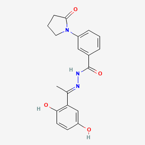molecular formula C19H19N3O4 B6101130 N-[(E)-1-(2,5-dihydroxyphenyl)ethylideneamino]-3-(2-oxopyrrolidin-1-yl)benzamide 