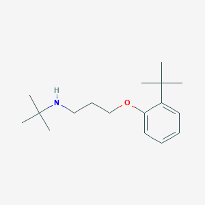 molecular formula C17H29NO B6101399 N-[3-(2-tert-butylphenoxy)propyl]-2-methylpropan-2-amine 