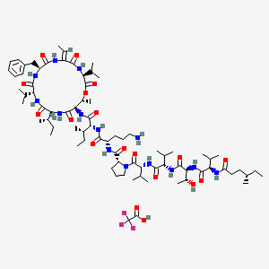 molecular formula C77H125F3N14O18 B610142 Irvalec CAS No. 915713-02-9