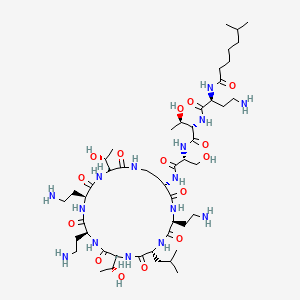 B610160 Polymyxin D2 CAS No. 34167-45-8