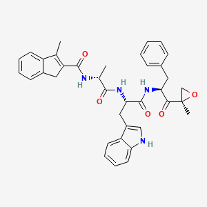 molecular formula C37H38N4O5 B610184 PR-924 CAS No. 1416709-79-9