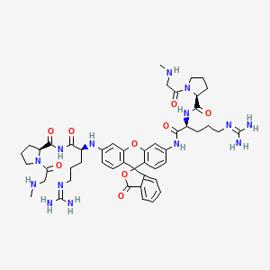 molecular formula C48H62N14O9 B610470 Rhodamine 110, (sar-pro-arg)(2)- CAS No. 99815-08-4